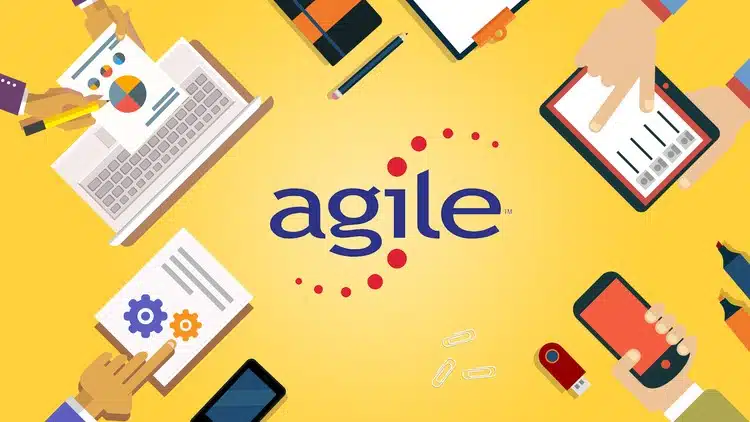 Agile project management statistics