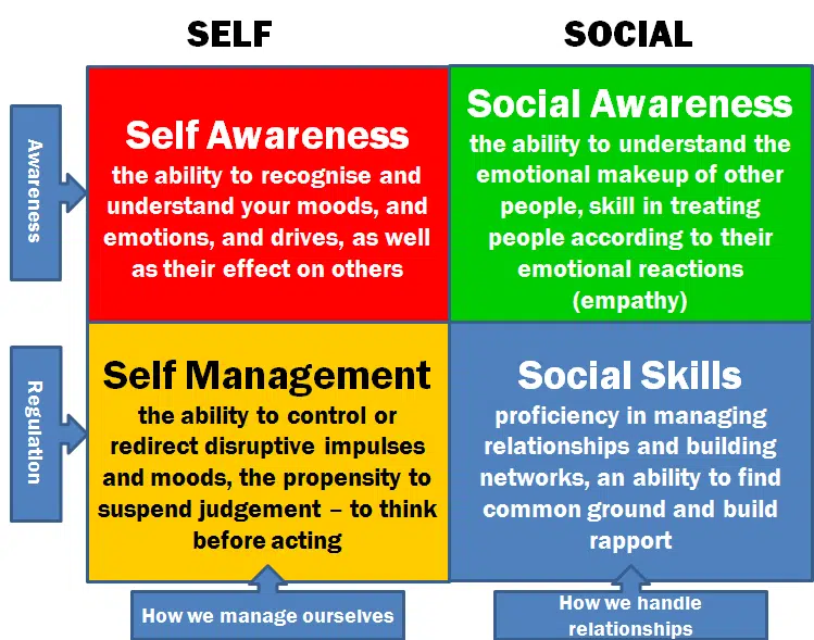 emotional intelligence 