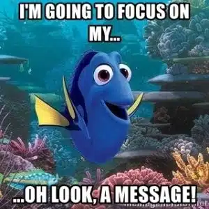 Dory from Nemo being distracted