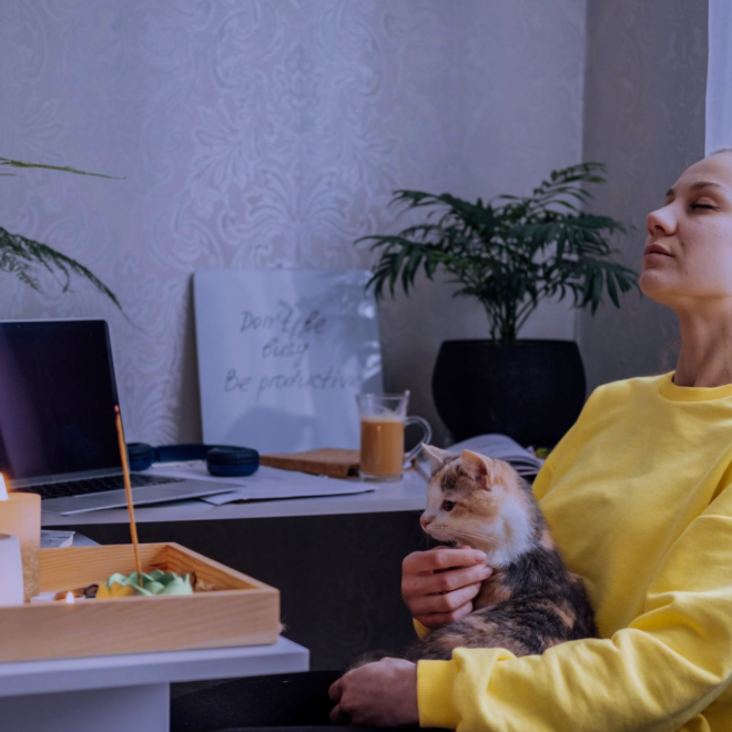 Mujer joven con su gato en la oficina.