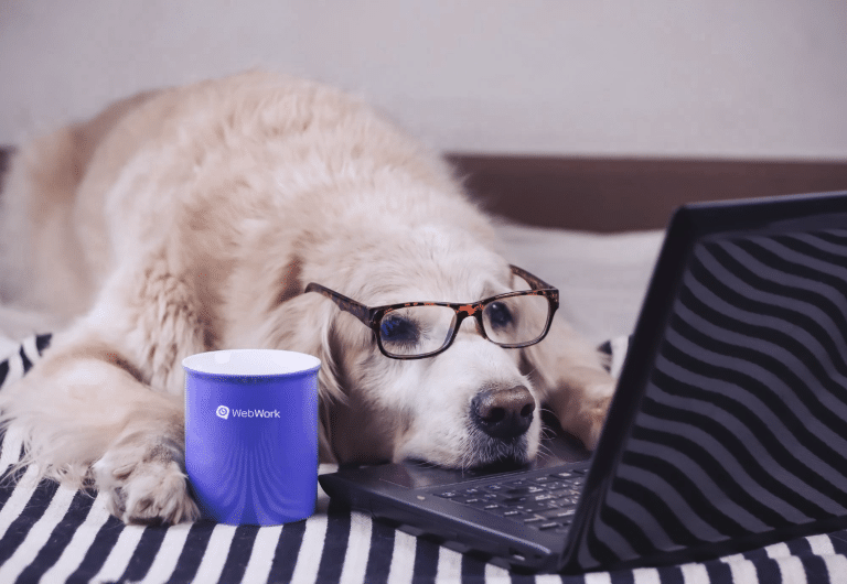 Dog Fooding en Webwork: cómo da forma a nuestro producto