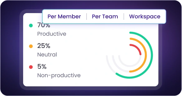 Productivity insights showing employee productivity monitoring software with time tracking and performance analytics