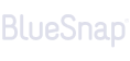BlueSnap | WebWork Tracker